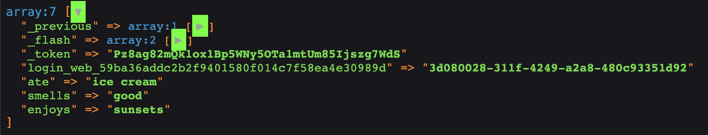 Screenshot of the output of a session:dump tag.